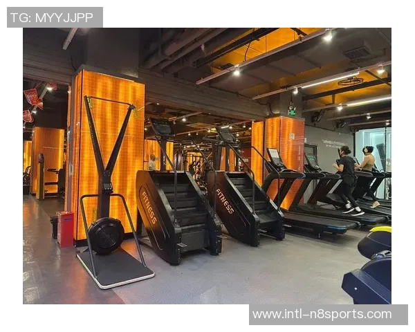 全面了解健身房常见器材及其使用方法助你高效锻炼塑造完美身材